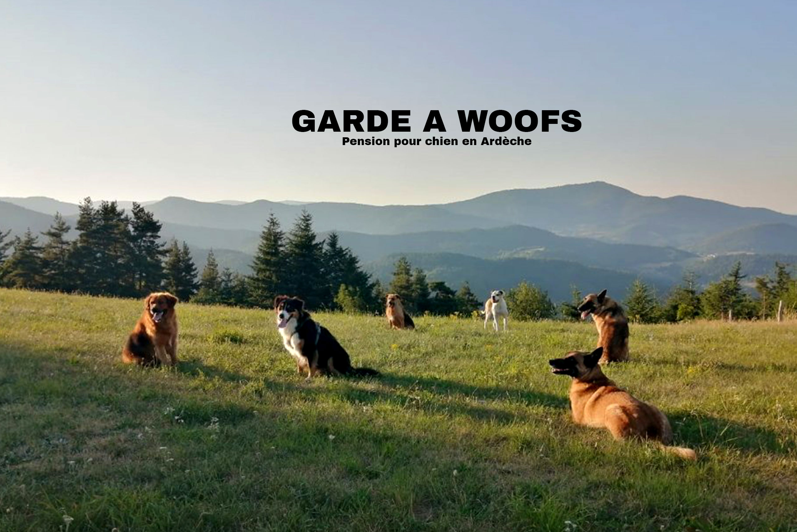 Pension pour chiens en Ardèche